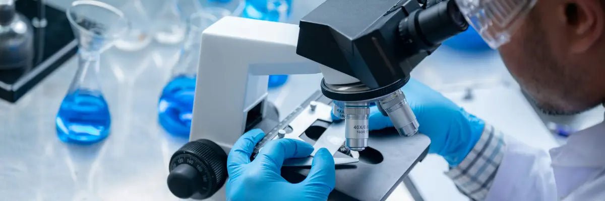 AEVUM Clinical Research Roundup: Levagen+® & HydroCurc®