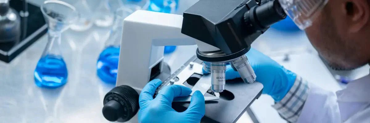 AEVUM Clinical Research Roundup: Levagen+® & HydroCurc®