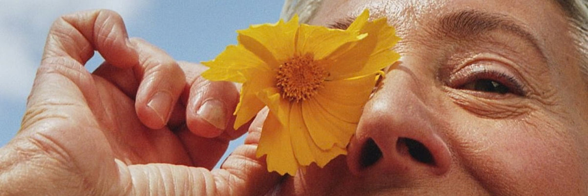 Smiling older woman holding a yellow flower to her face, header for AEVUM's article on biological age