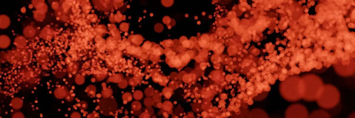 Longevity-focused wellness routine supporting lower inflammation