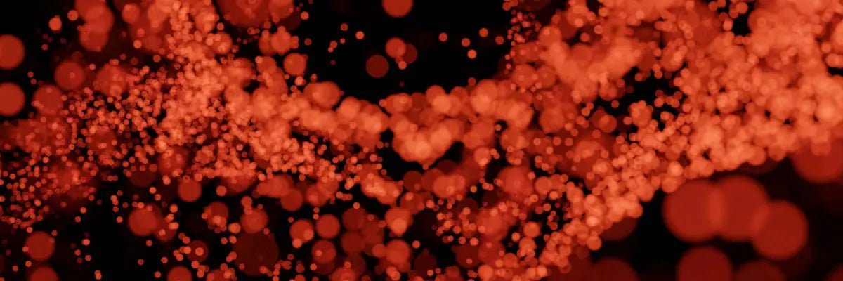 Longevity-focused wellness routine supporting lower inflammation