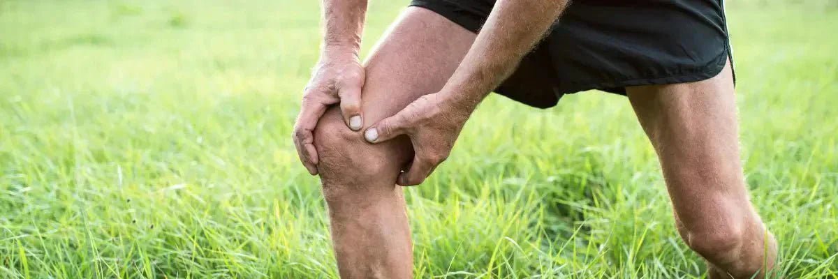Healthy joints and mobility supporting long-term longevity and balancing inflammation