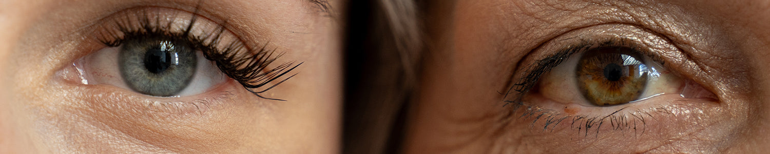 Healthspan and Longevity