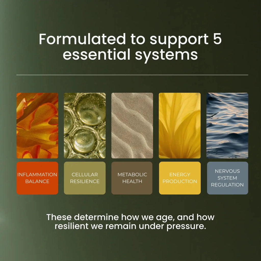 5 longevity systems