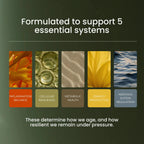5 longevity systems