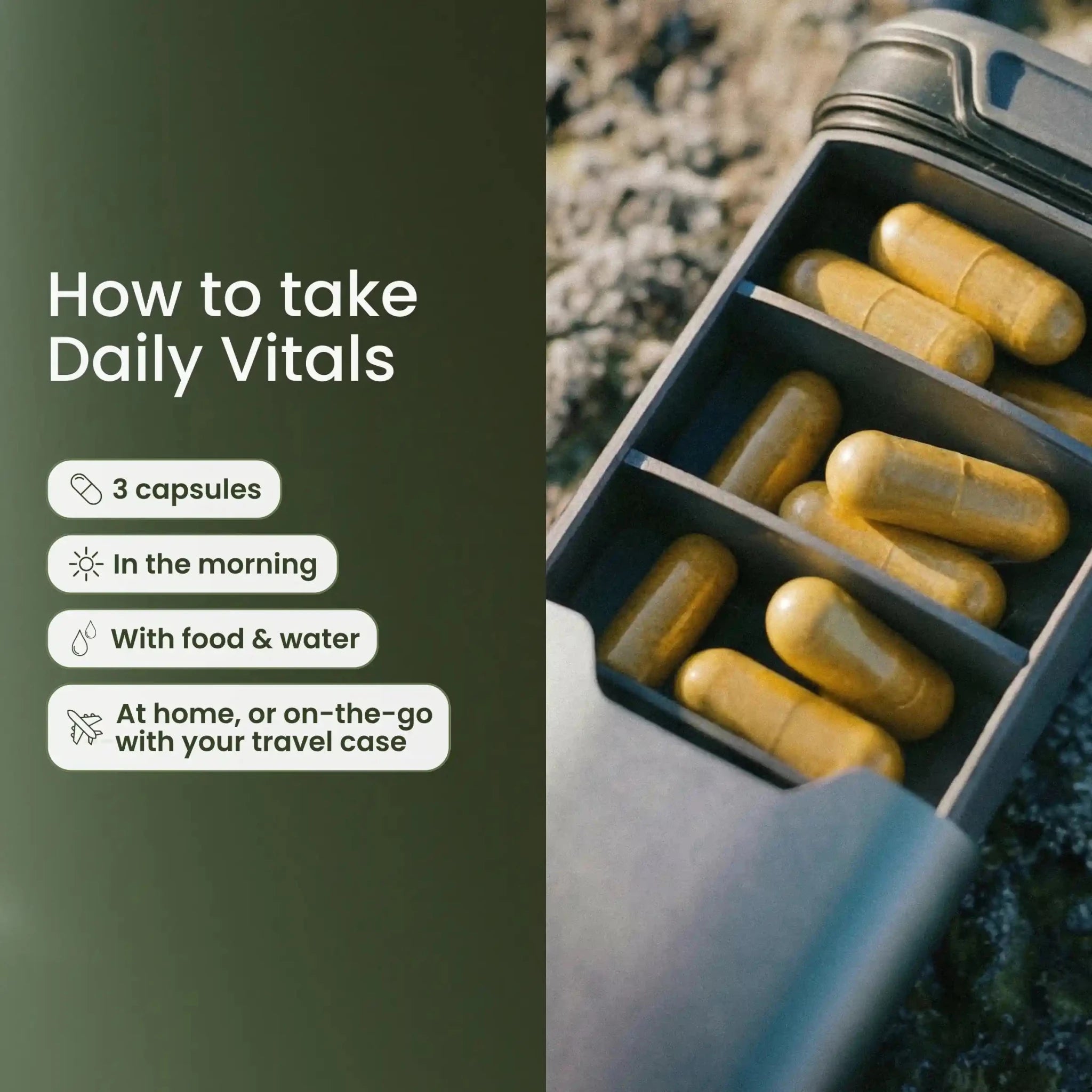 Longevity supplement bundle