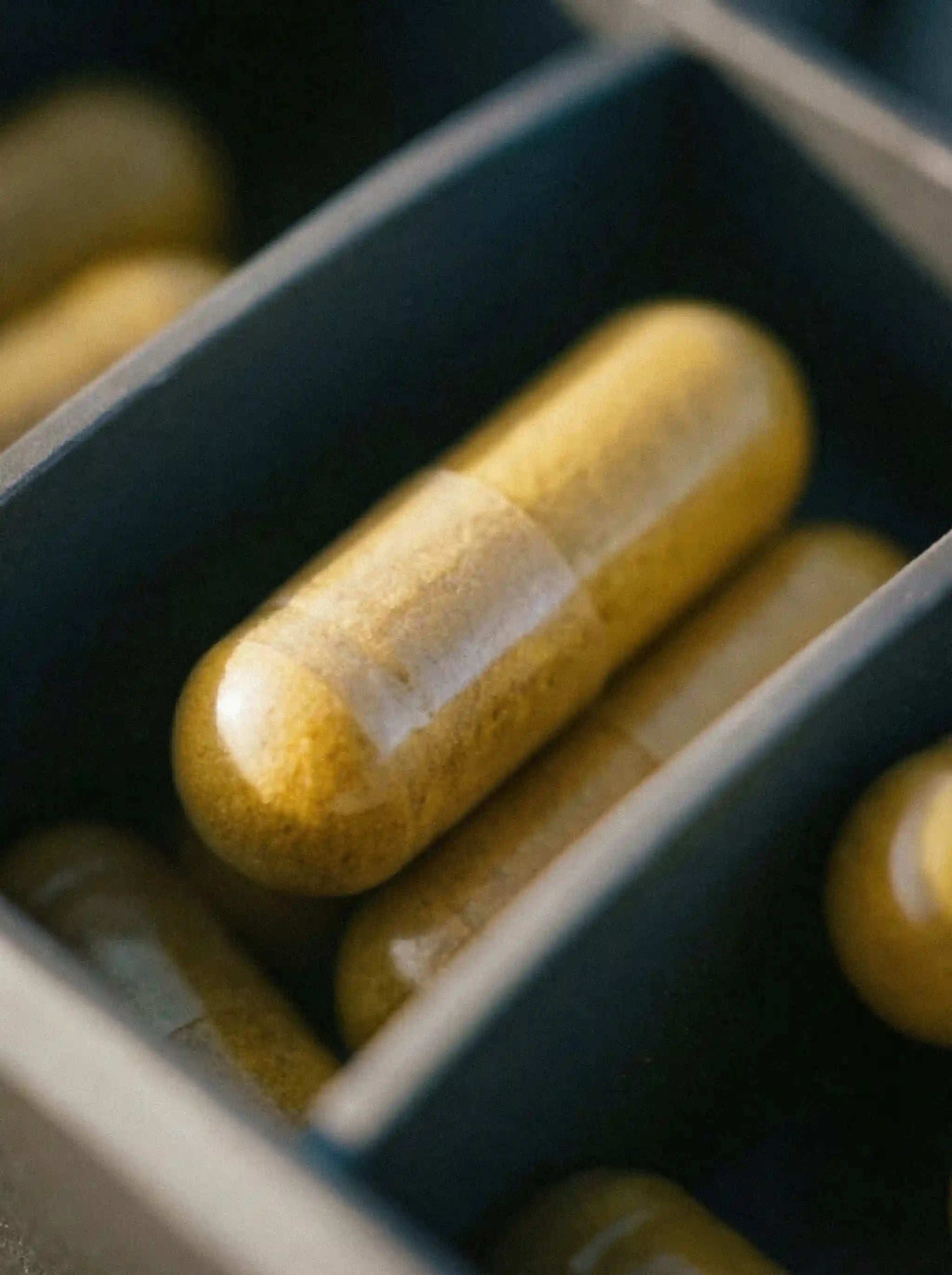 aevum travel pill case