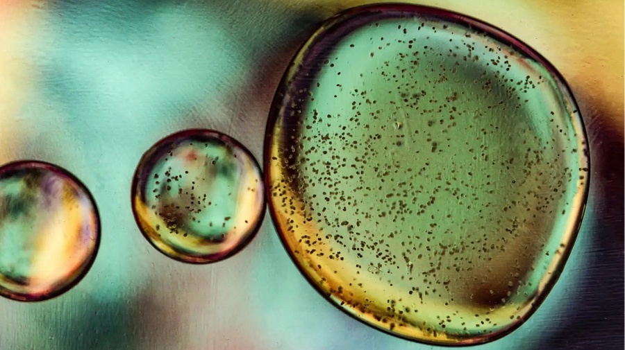 Illustration of standard PEA failing to mix with water, showing why ordinary PEA supplements are poorly absorbed