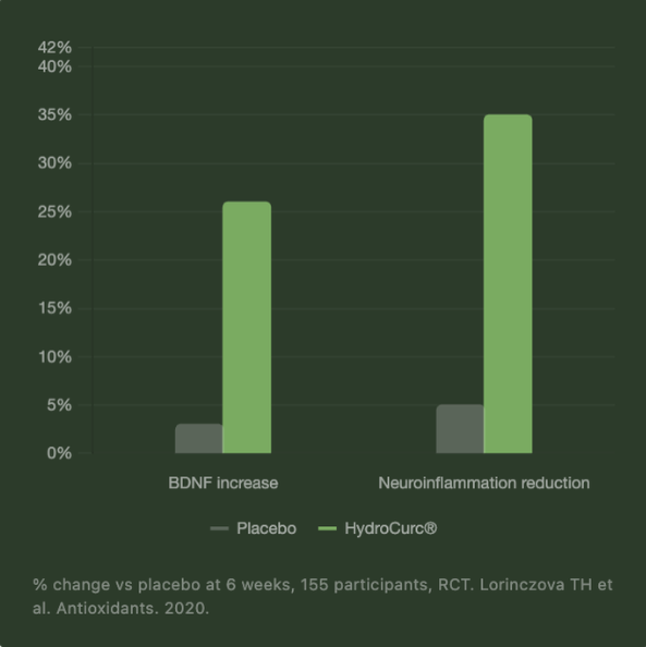 Bar chart comparing BDNF increase and neuroinflammation reduction with HydroCurcé and placebo.