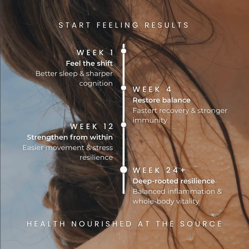 Longevity supplement