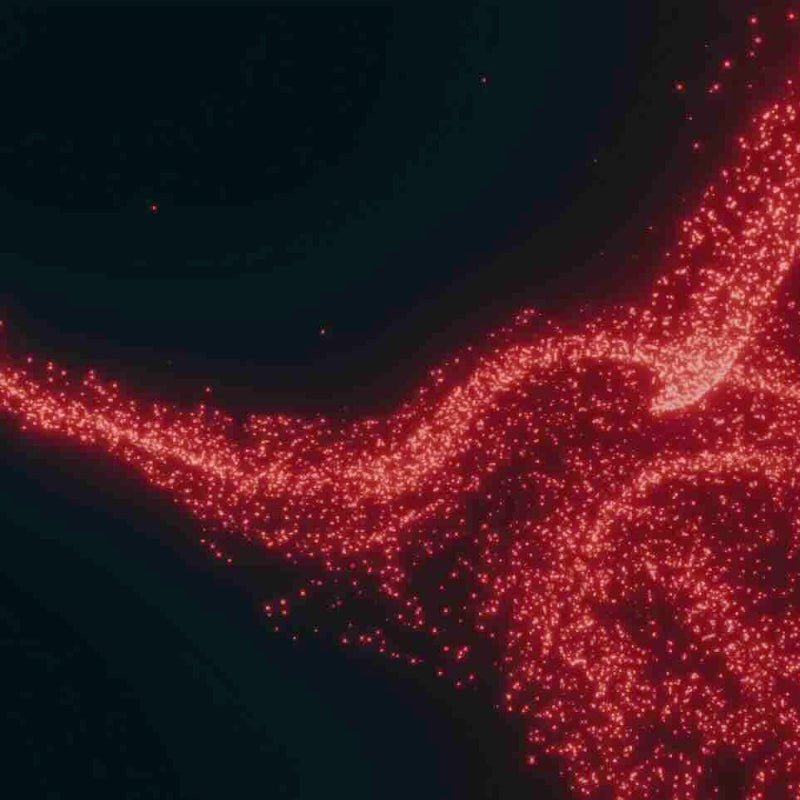 Cellular damage and ageing — hallmarks of ageing