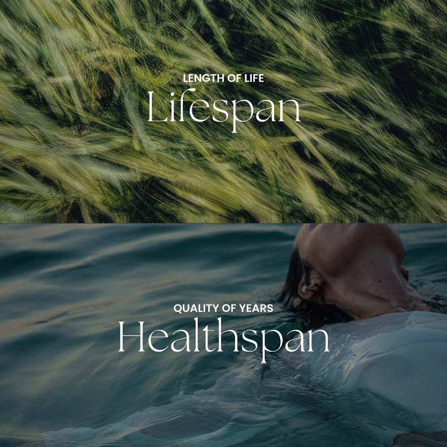 Lifespan vs Healthspan