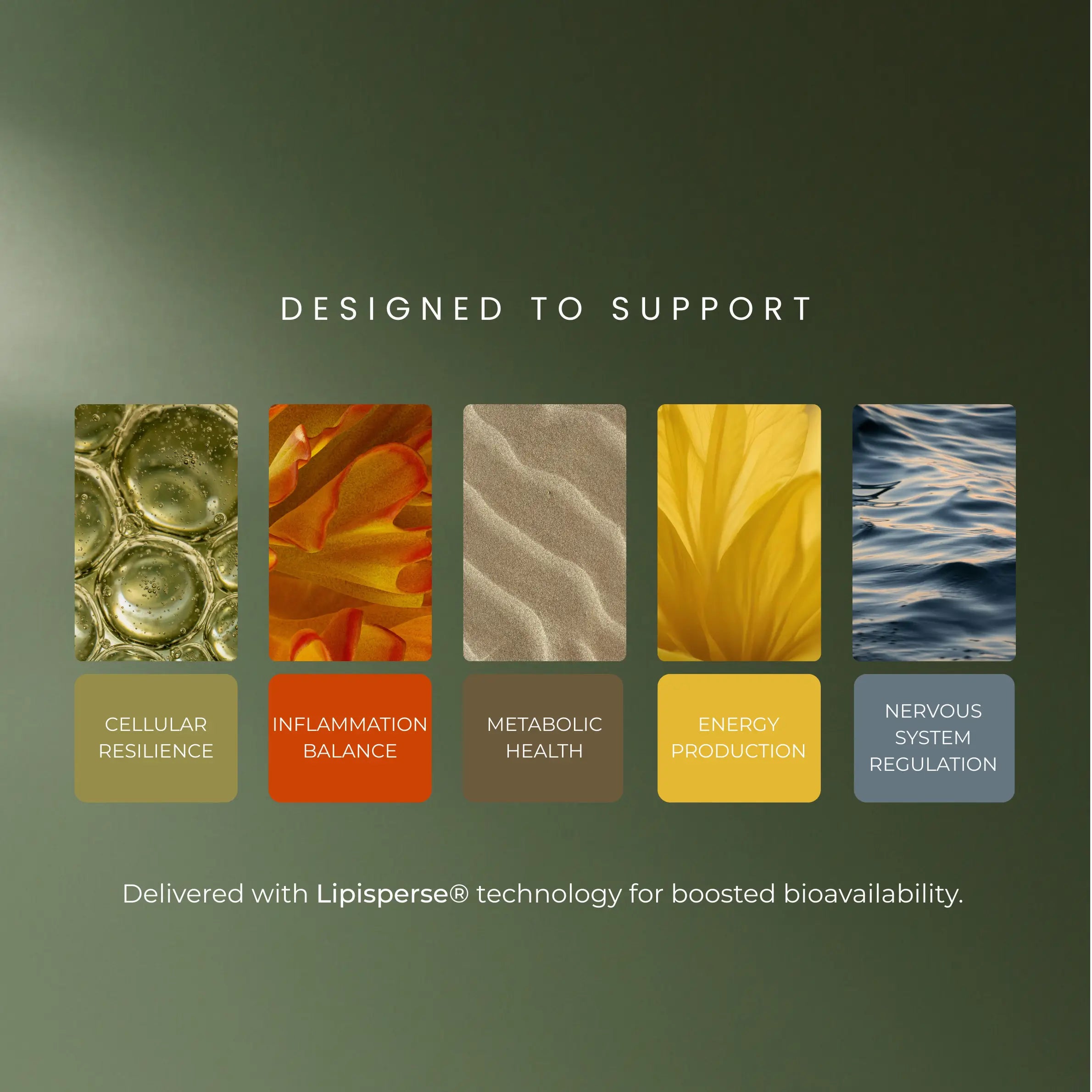 AEVUM 5 pillars of ageing