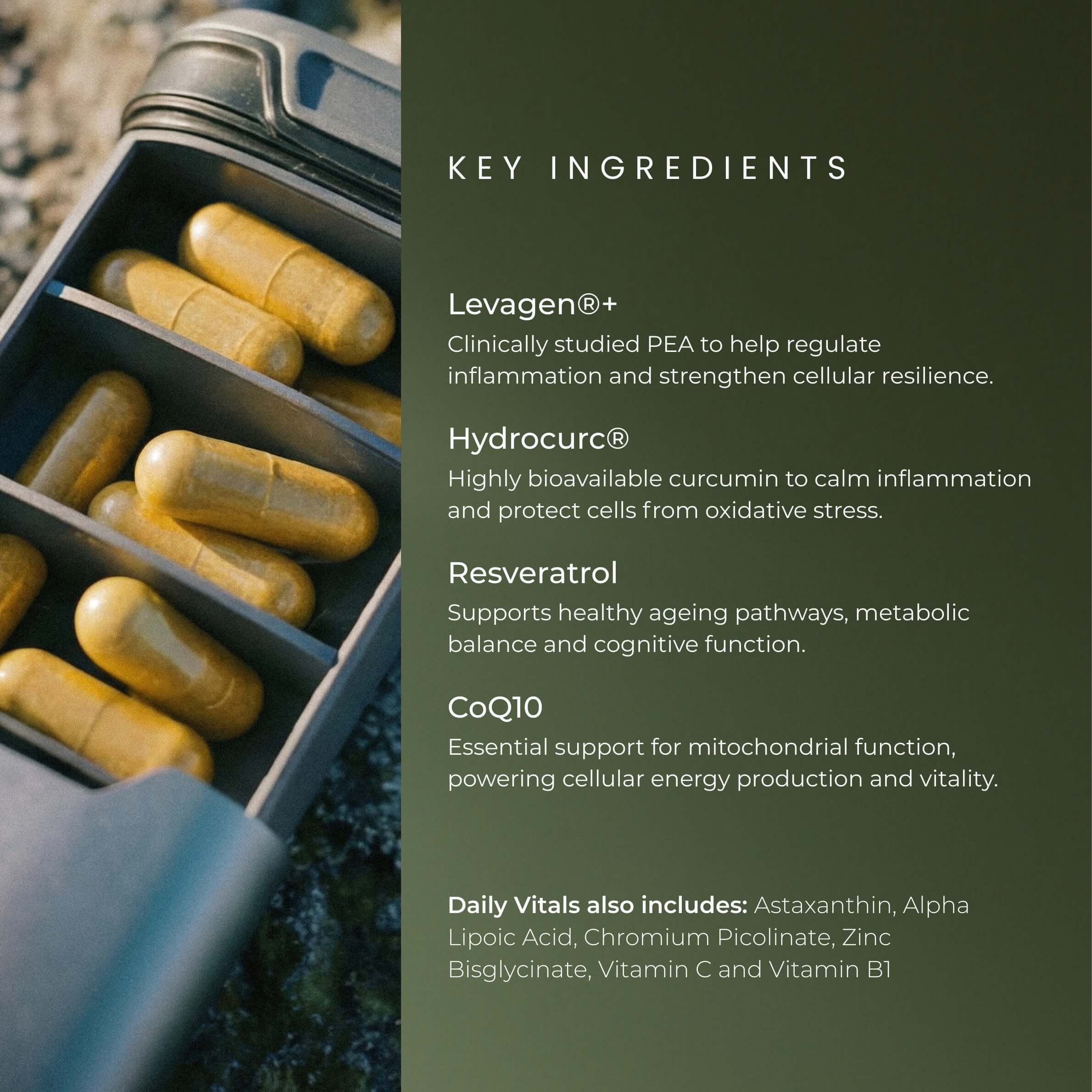 DAILY VITALS: Starter Kit