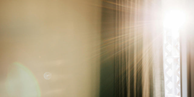 Soft natural light illustrating more Levagen®+ PEA being absorbed into the bloodstream