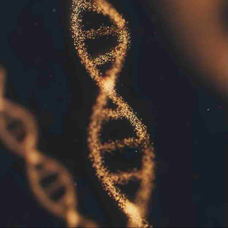 Metabolic regulation and ageing