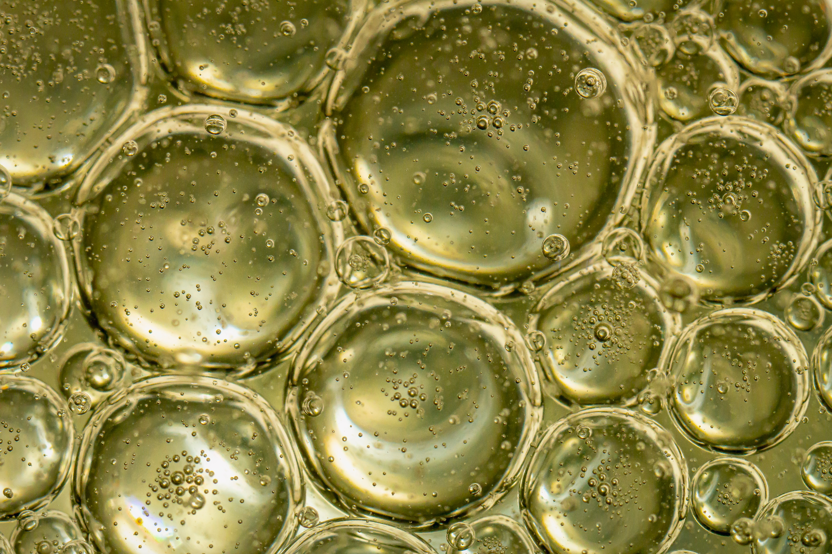 Cellular resilience