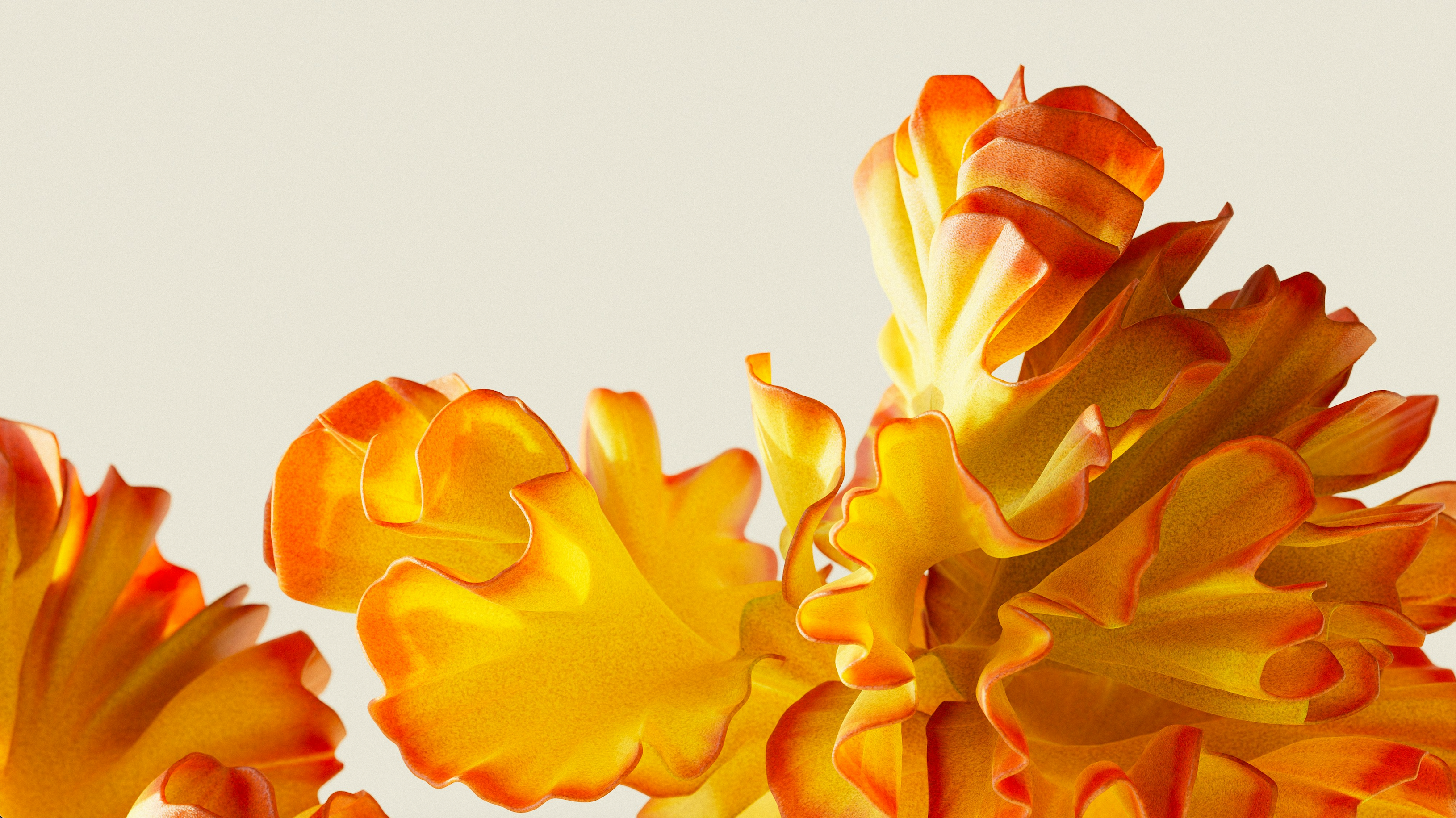 Inflammation balance