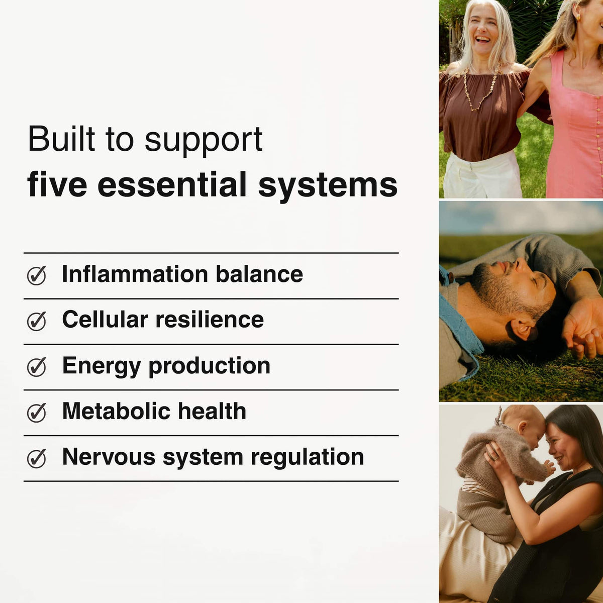 Daily Vitals is built around five essential systems: inflammation balance, cellular resilience, energy production, metabolic health and nervous system regulation