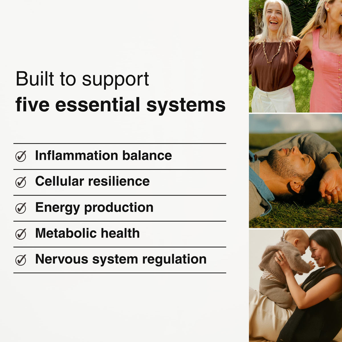 AEVUM Daily Vitals built to support five essential systems — inflammation, cellular resilience, energy, metabolic health, and nervous system