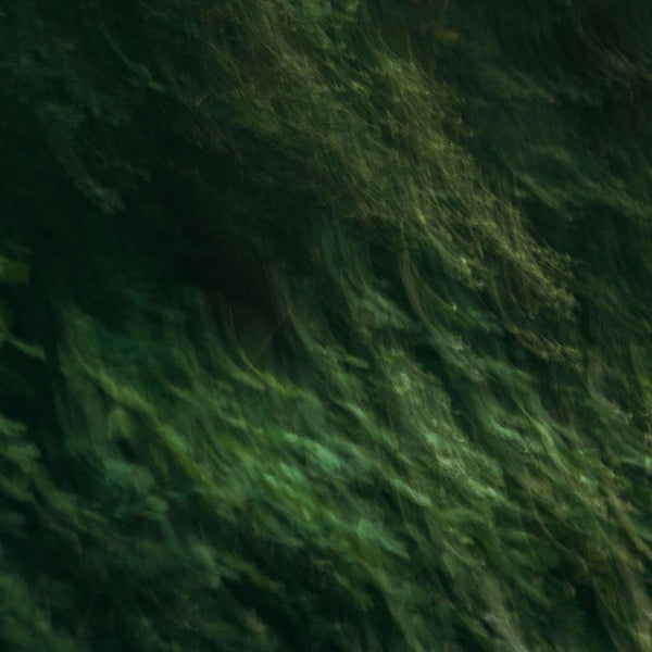 Abstract green textured image representing cell communication breakdown, one of AEVUM's hallmarks of ageing