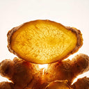 Turmeric root, the source of HydroCurc® curcumin