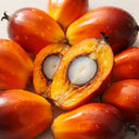 Levagen+ palm fruit source used in AEVUM Daily Vitals