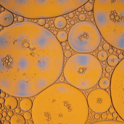 longevity supplement