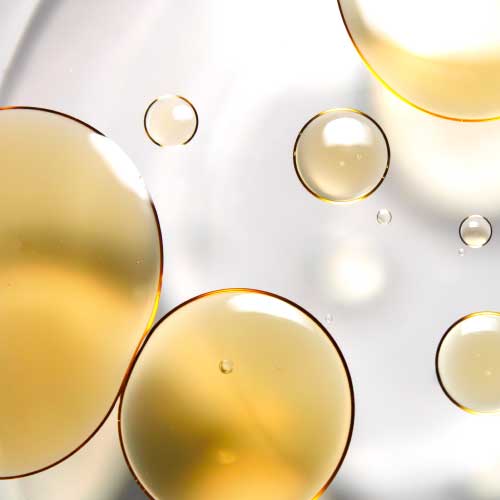 longevity supplement