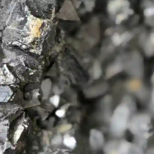 Zinc in longevity supplement